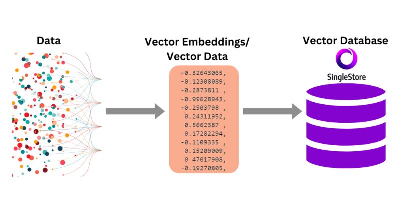 Vector database là gì