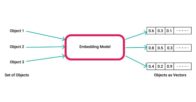 Vector embedding